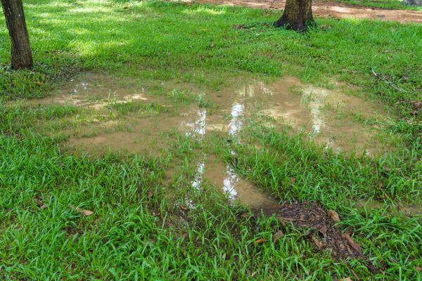 Cost of Storm Water Drainage Service in Peoria