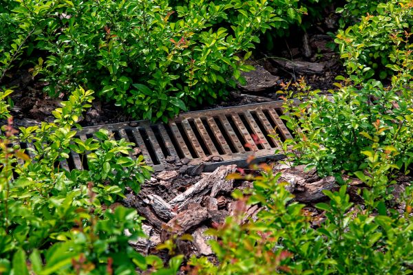 Cost of Underground Drainage Service in Peoria