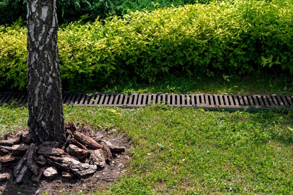 Cost of Garden Drainage Installation in Peoria