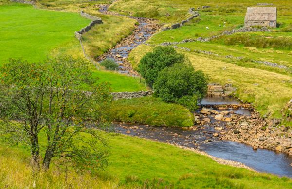 Cost of Swale Repair in Peoria